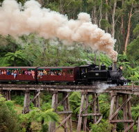 Melbourne Combo Great Ocean Road Puffing Billy Moonlit Sanctuary  Penguins - Accommodation Broome