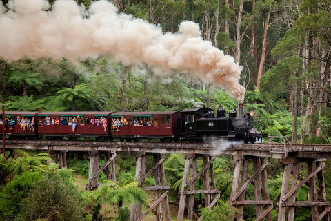 Melbourne Combo: Great Ocean Road, Puffing Billy, Moonlit Sanctuary & Penguins - Accommodation Broome 0
