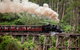 Melbourne Combo: Great Ocean Road, Puffing Billy, Moonlit Sanctuary & Penguins - thumb 2
