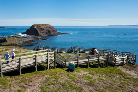 Melbourne Combo: Great Ocean Road, Puffing Billy, Moonlit Sanctuary & Penguins - Accommodation Broome 3