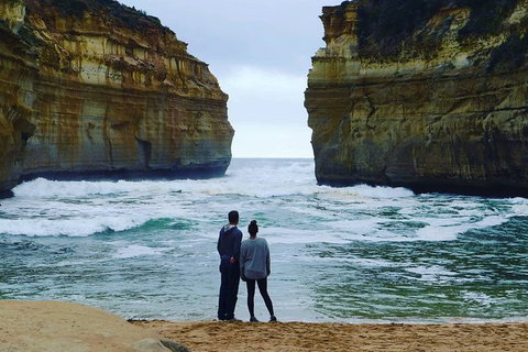 Melbourne Combo: Great Ocean Road, Puffing Billy, Moonlit Sanctuary & Penguins - Accommodation Broome 6