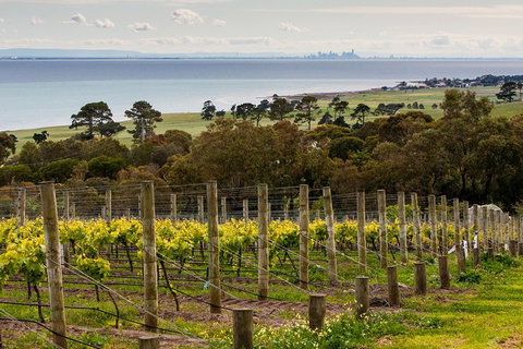 Bellarine Peninsula Small Group Wine Tour With 2 Course Lunch And Morning Tea - Accommodation Broome 0