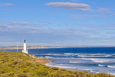 Bellarine Peninsula Small Group Wine Tour With 2 Course Lunch And Morning Tea - Accommodation Broome 1