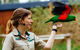 Puffing Billy Train Day Trip Including Healesville Sanctuary From Melbourne - thumb 0