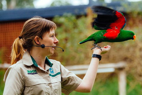 Puffing Billy Train Day Trip Including Healesville Sanctuary From Melbourne - Accommodation Broome 0