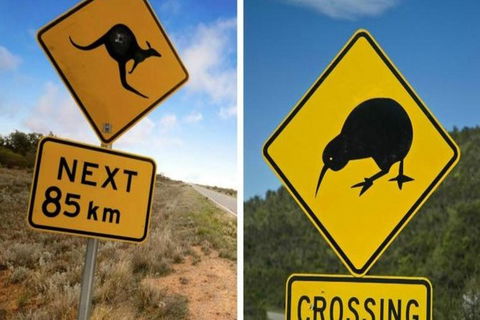 Aroha Tangata Australia And New Zealand 20 Day - Accommodation Broome 0