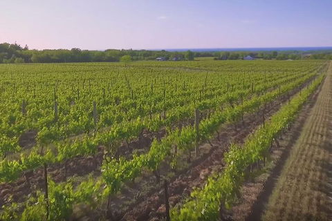 Macedon Ranges Small Group Wine Tour With 2 Course Lunch And Morning Tea - Accommodation Broome 1