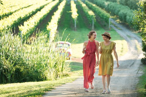 Montalto Vineyard: Mornington Peninsula Discovery Wine Tasting And Lunch - Accommodation Broome 5