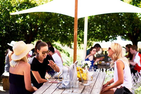 Montalto Vineyard: Mornington Peninsula Discovery Wine Tasting And Lunch - Accommodation Broome 3