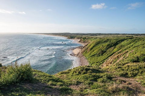 Phillip Island Hike And Aussie Wildlife Adventure - Accommodation Broome 0
