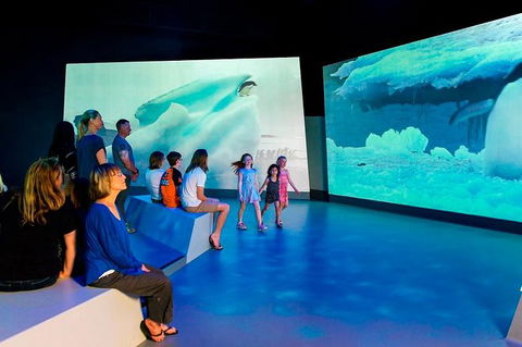 Phillip Island Antarctic Journey: Entry Ticket - Accommodation Broome 0