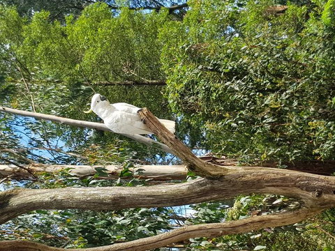 Yarra Valley Wineries And Puffing Billy Steam Train Tour From Melbourne - Accommodation Broome 10