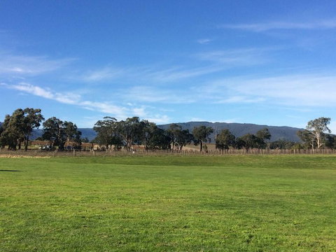 Yarra Valley Wineries And Puffing Billy Steam Train Tour From Melbourne - Accommodation Broome 17