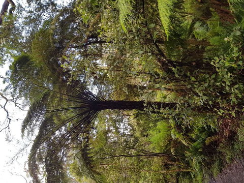 Yarra Valley Wineries And Puffing Billy Steam Train Tour From Melbourne - Accommodation Broome 7