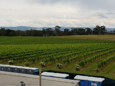 Yarra Valley Wineries And Puffing Billy Steam Train Tour From Melbourne - Accommodation Broome 4
