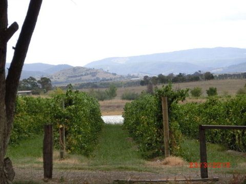 Yarra Valley Wineries And Puffing Billy Steam Train Tour From Melbourne - Accommodation Broome 25