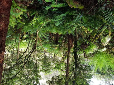 Yarra Valley Wineries And Puffing Billy Steam Train Tour From Melbourne - Accommodation Broome 6