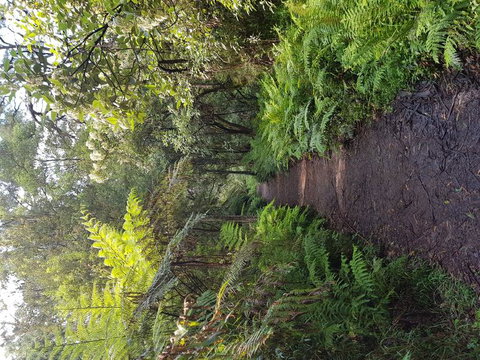 Yarra Valley Wineries And Puffing Billy Steam Train Tour From Melbourne - Accommodation Broome 8