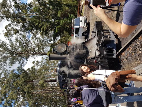 Yarra Valley Wineries And Puffing Billy Steam Train Tour From Melbourne - Accommodation Broome 5