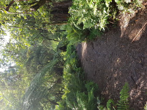 Yarra Valley Wineries And Puffing Billy Steam Train Tour From Melbourne - Accommodation Broome 9