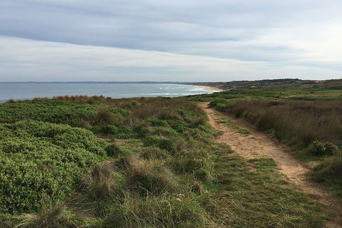 Half Day Phillip Island Woolamai Walking Tour - Accommodation Broome 3