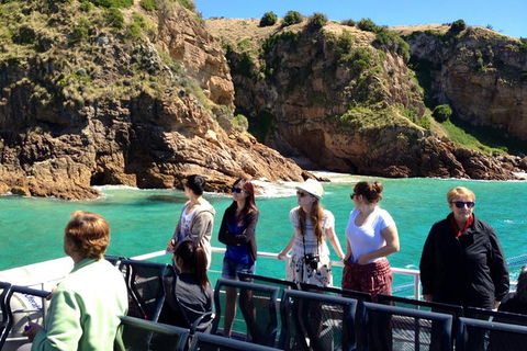 Cape Woolamai Sightseeing Cruise From San Remo - Accommodation Broome 1