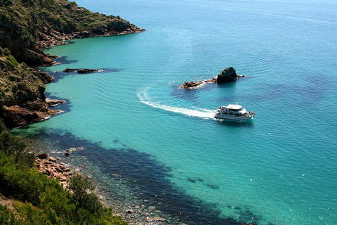 Cape Woolamai Sightseeing Cruise From San Remo - Accommodation Broome 3