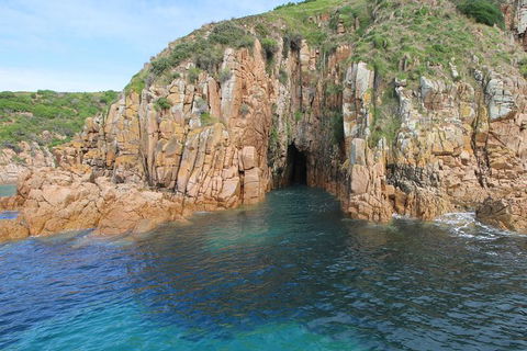 Cape Woolamai Sightseeing Cruise From San Remo - Accommodation Broome 4
