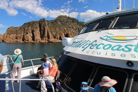 Cape Woolamai Sightseeing Cruise From San Remo - Accommodation Broome 9