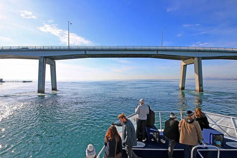 Cape Woolamai Sightseeing Cruise From San Remo - Accommodation Broome 5