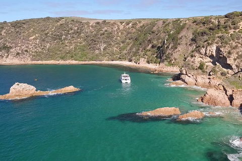 Cape Woolamai Sightseeing Cruise From San Remo - Accommodation Broome 6