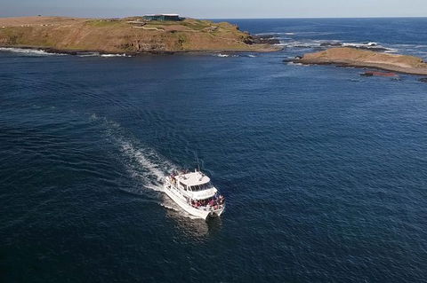 Phillip Island Seal-Watching Cruise - Accommodation Broome 6