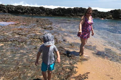 Phillip Island & Penguin Parade - Accommodation Broome 1