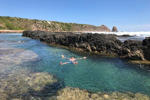 Phillip Island & Penguin Parade - Accommodation Broome 12