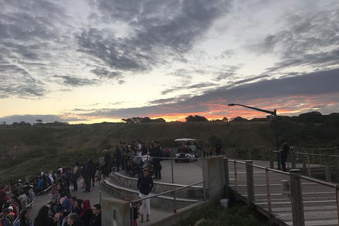 Phillip Island & Penguin Parade - Accommodation Broome 4