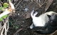 Phillip Island & Penguin Parade - thumb 16