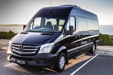 Ultimate Reverse Direction - 12 Apostles, Great Ocean Road - Small Group Tour - Accommodation Broome 4