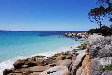 Tasmania 6 Day \'Tour In Circle\' - Accommodation Broome 4