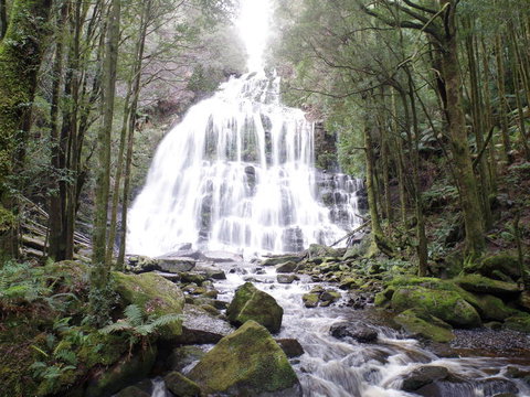 5-Day Best Of Tasmania Tour From Hobart - Accommodation Broome 2