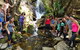 5-Day Best Of Tasmania Tour From Hobart - thumb 9