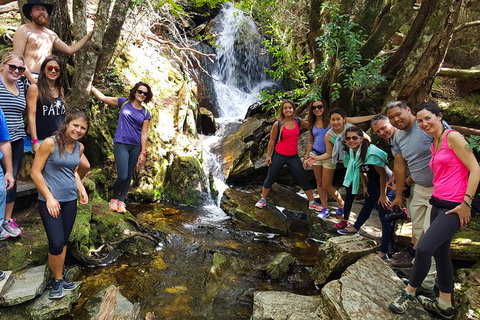 5-Day Best Of Tasmania Tour From Hobart - Accommodation Broome 9