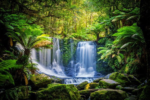 Day Tour In Mt. Field, Mt. Wellington, Bonorong Wildlife Sanctuary And Richmond - Accommodation Broome 0