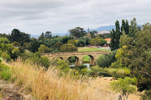 Day Tour In Mt. Field, Mt. Wellington, Bonorong Wildlife Sanctuary And Richmond - Accommodation Broome 6
