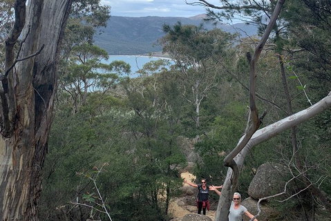 Wineglass Bay And Freycinet National Park Active Day Trip From Hobart - Accommodation Broome 14