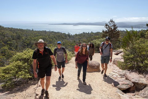 Wineglass Bay And Freycinet National Park Active Day Trip From Hobart - Accommodation Broome 26