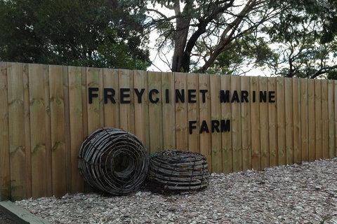 Wineglass Bay And Freycinet National Park Active Day Trip From Hobart - Accommodation Broome 20