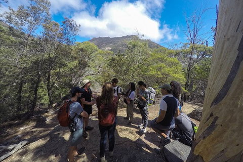 Wineglass Bay And Freycinet National Park Active Day Trip From Hobart - Accommodation Broome 9