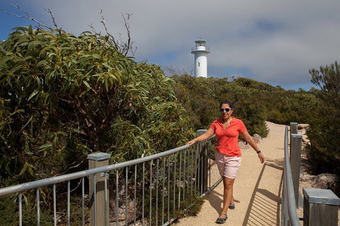 Wineglass Bay And Freycinet National Park Active Day Trip From Hobart - Accommodation Broome 29