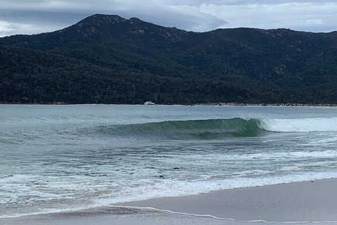 Wineglass Bay And Freycinet National Park Active Day Trip From Hobart - Accommodation Broome 17