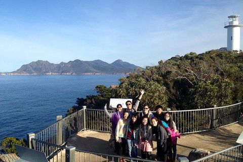 Wineglass Bay And Freycinet National Park Active Day Trip From Hobart - Accommodation Broome 23